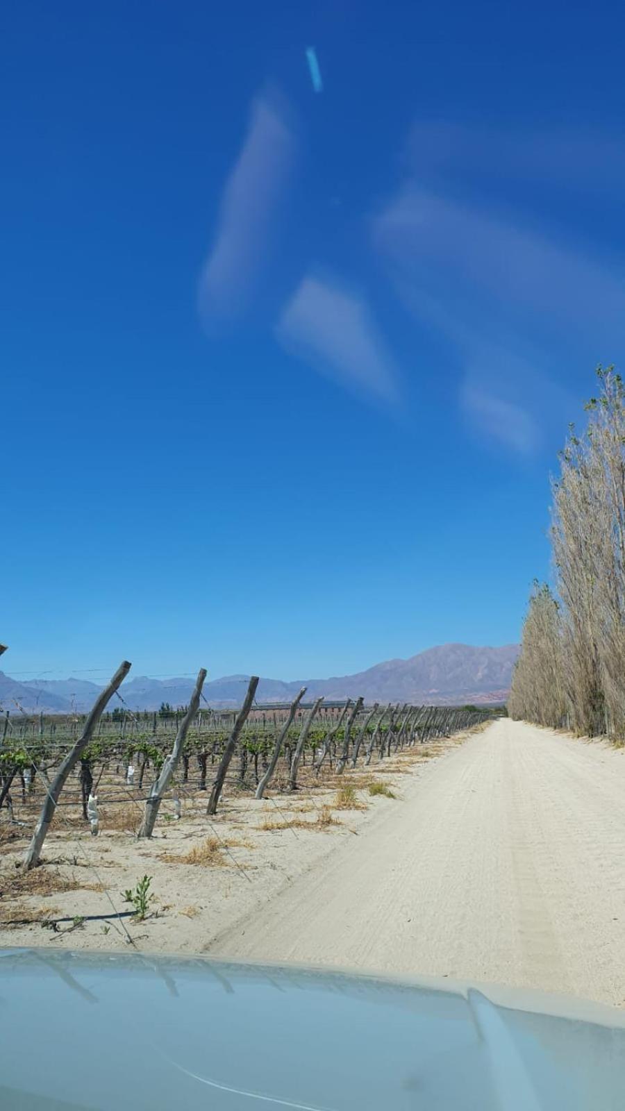 Waytay Villa Cafayate Buitenkant foto